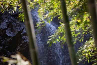 《生化危机4：重制版》总监希望游戏能比原作更恐怖