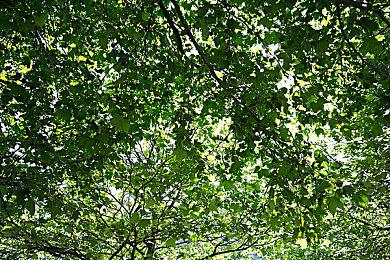 《地平线：西部禁域》新广告 女主来个潇洒后空翻